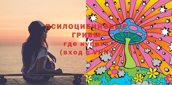 дживик Горняк
