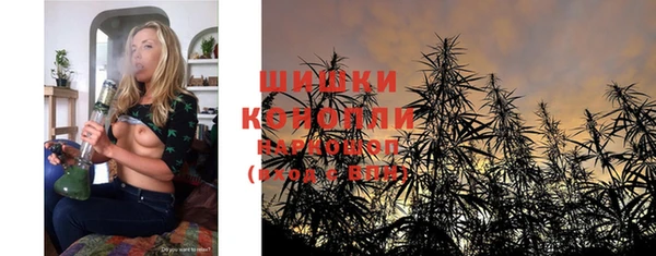 дживик Горняк