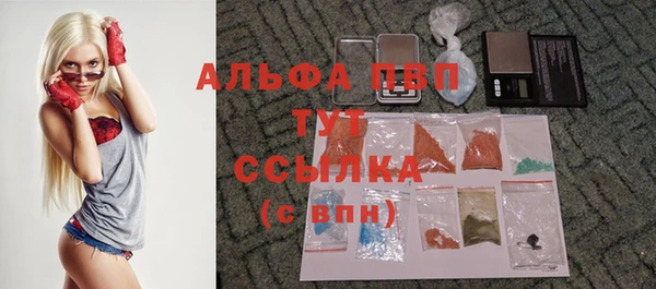 дживик Горняк