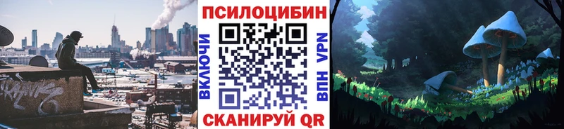 Псилоцибиновые грибы Cubensis  Купить закладки  Жуков 